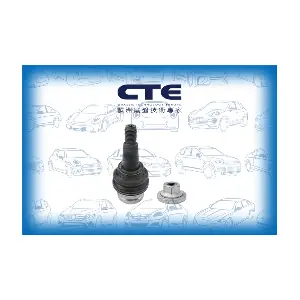 CBJ19012 CTE