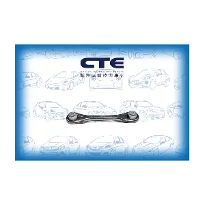 CS341 CTE