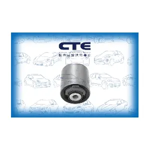 CBH19010 CTE