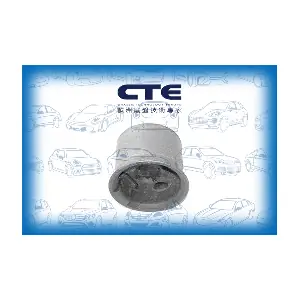 CBH20023 CTE