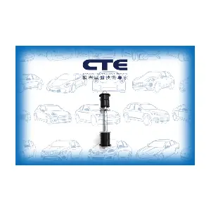 CSL26019 CTE
