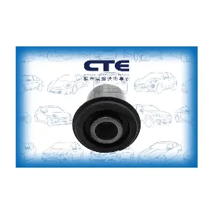 CBH10011 CTE