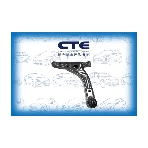 CS-365L CTE
