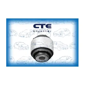 CBH09054 CTE