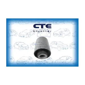 CBH20013 CTE