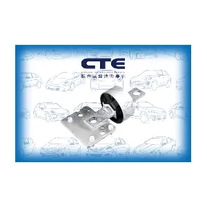 CBH17040 CTE