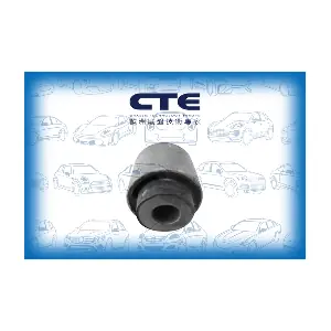 CBH03057 CTE