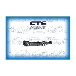 CS2113R CTE