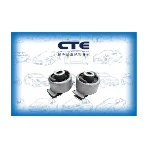 CBH10007 CTE