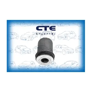 CBH02016 CTE