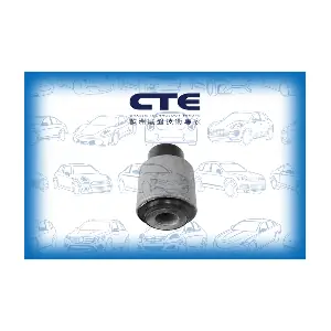 CBH16008 CTE