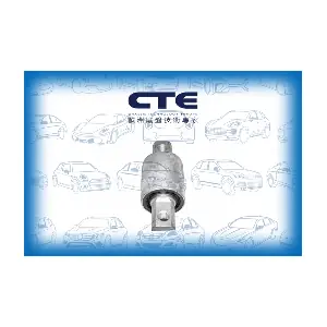 CBH17004 CTE