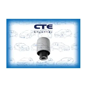 CBH17018 CTE
