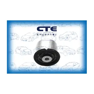 CBH19022 CTE