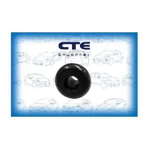 CBH15023 CTE