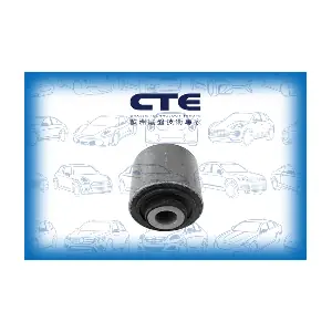 CBH21019 CTE