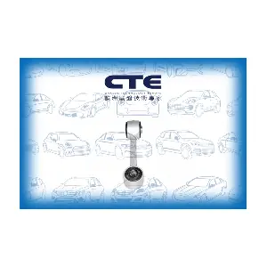 CSL09011 CTE