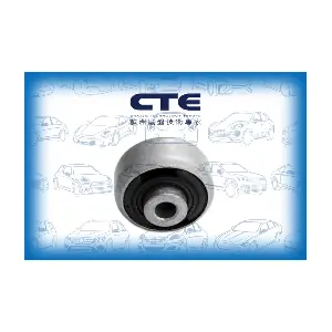 CBH03018 CTE