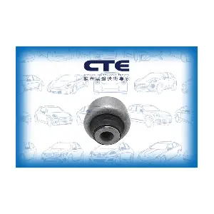 CBH16011 CTE