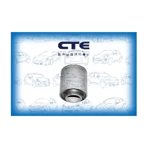CBH06017 CTE