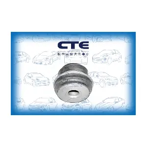 CBH21001 CTE
