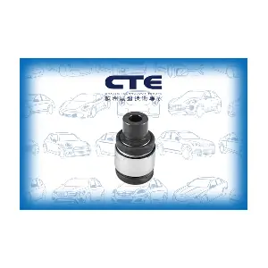 CBH32002 CTE