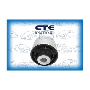 CBH21049 CTE
