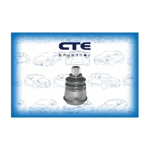 CBJ21001 CTE