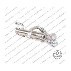EGR250R DIPASPORT