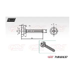 71810137 MAXTECH