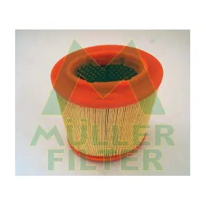 PA3132 MULLER FILTER