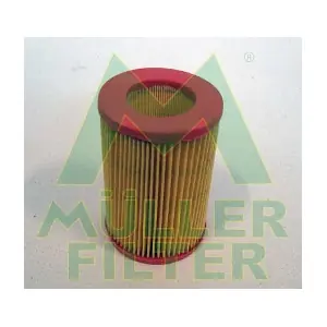 PAM246 MULLER FILTER