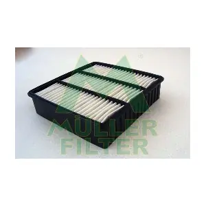 PA3117 MULLER FILTER