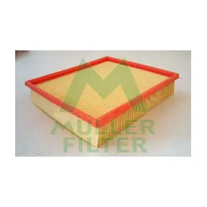 PA3114 MULLER FILTER