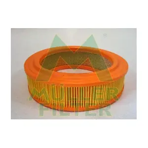 PA442 MULLER FILTER