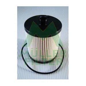 FN163 MULLER FILTER