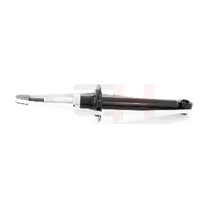 GH-333028 GH