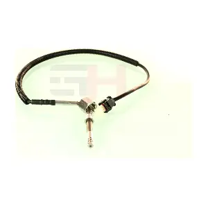 GH-743372 GH