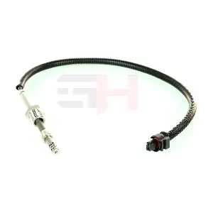 GH-743302 GH