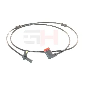 GH-713306 GH