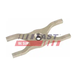 FT53802 FAST