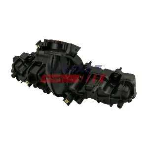 FT49556 FAST