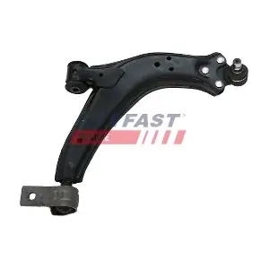 FT15561 FAST