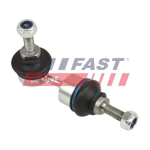 FT01596 FAST