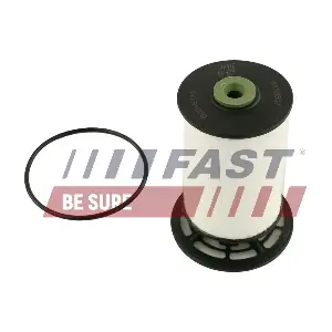 FT39307 FAST