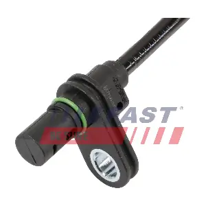 FT80565 FAST