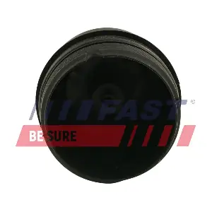 FT94747 FAST