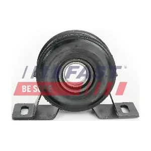 FT28055 FAST