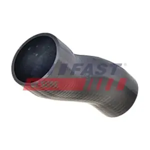 FT61031 FAST