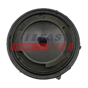 FT45333 FAST